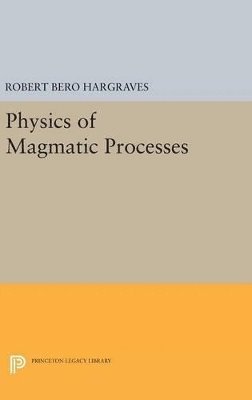 bokomslag Physics of Magmatic Processes