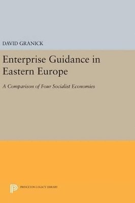 David Granick - Enterprise Guidance in Eastern Europe, Inbunden
