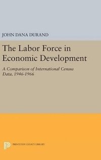 bokomslag The Labor Force in Economic Development