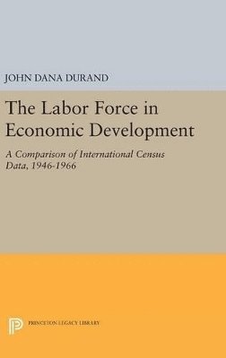 Labor Force in Economic Development