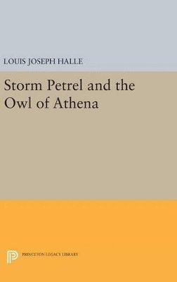 bokomslag Storm Petrel and the Owl of Athena