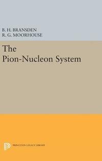 bokomslag The Pion-Nucleon System