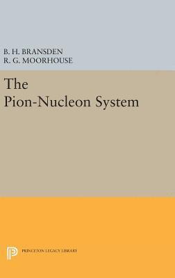 The Pion-Nucleon System 1