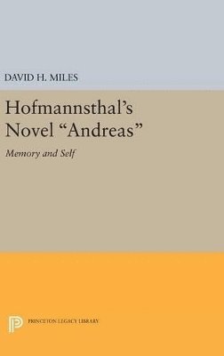 bokomslag Hofmannsthal's Novel Andreas