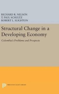 bokomslag Structural Change in a Developing Economy