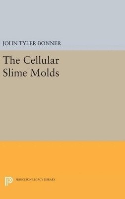Cellular Slime Molds 1