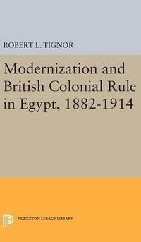 bokomslag Modernization and British Colonial Rule in Egypt, 1882-1914