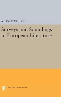 bokomslag Surveys and Soundings in European Literature
