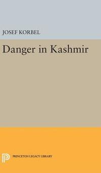 bokomslag Danger in Kashmir