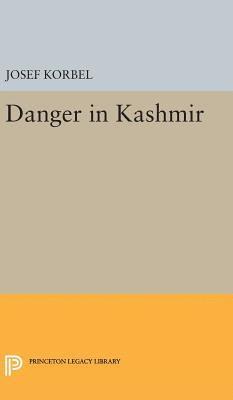 bokomslag Danger in Kashmir