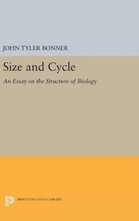 bokomslag Size and Cycle