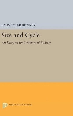 bokomslag Size and Cycle