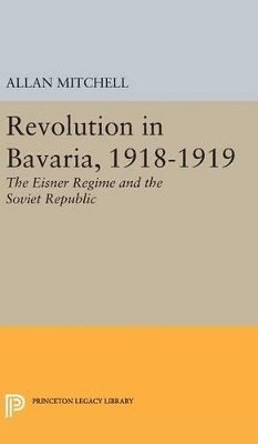 bokomslag Revolution in Bavaria, 1918-1919