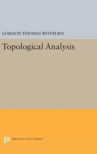 bokomslag Topological Analysis