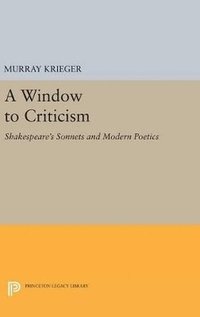 bokomslag Window to Criticism