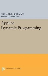 bokomslag Applied Dynamic Programming