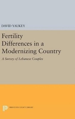 bokomslag Fertility Differences in a Modernizing Country