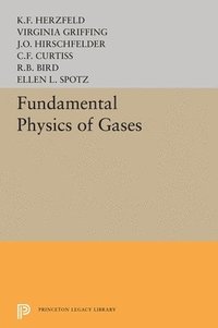 bokomslag Fundamental Physics of Gases