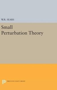 bokomslag Small Perturbation Theory