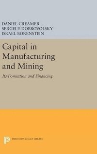 bokomslag Capital in Manufacturing and Mining