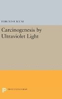 bokomslag Carcinogenesis by Ultraviolet Light