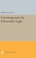 bokomslag Carcinogenesis by Ultraviolet Light