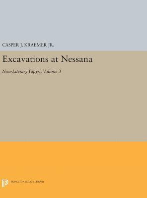 bokomslag Excavations at Nessana, Volume 3