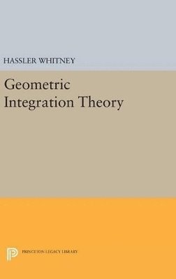 bokomslag Geometric Integration Theory