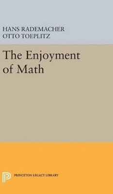 bokomslag The Enjoyment of Math