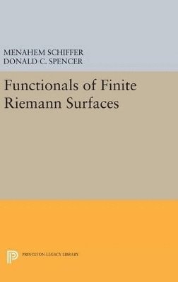 Functionals of Finite Riemann Surfaces 1