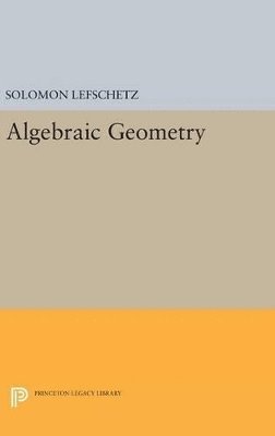 bokomslag Algebraic Geometry