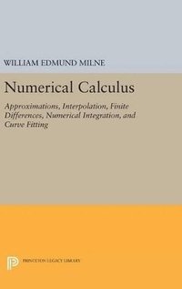 bokomslag Numerical Calculus