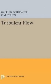 bokomslag Turbulent Flow