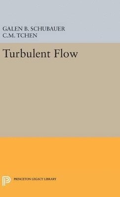 bokomslag Turbulent Flow