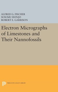 bokomslag Electron Micrographs of Limestones and Their Nannofossils