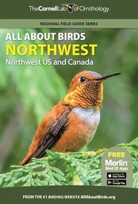 bokomslag All About Birds Northwest