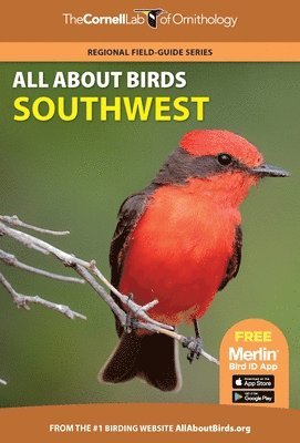 bokomslag All About Birds Southwest