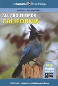 bokomslag All About Birds California