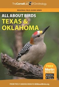 bokomslag All About Birds Texas and Oklahoma