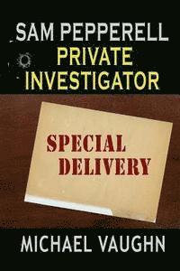 bokomslag Sam Pepperell Private Investigator: Special Delivery