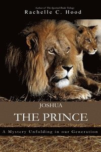 bokomslag Joshua, The Prince: A mystery unfolding in our generation