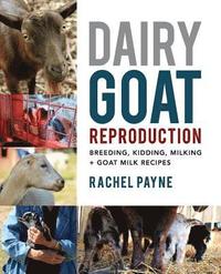 bokomslag Dairy Goat Reproduction: Breeding, Birthing, and Milking + Goat Milk Recipes