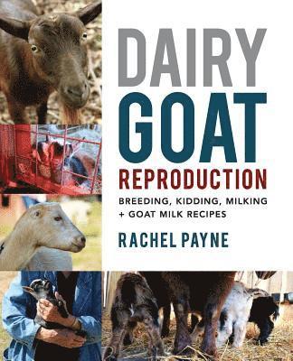 Rachel Payne - Dairy Goat Reproduction: Breeding, Birthing, and Milking + Goat Milk Recipes, Häftad