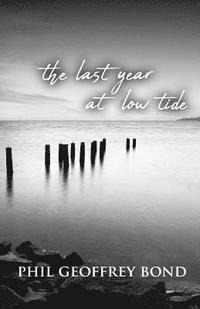 bokomslag The Last Year at Low Tide