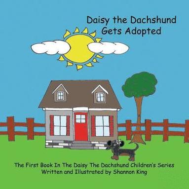 bokomslag Daisy The Dachshund Gets Adopted