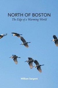 bokomslag North of Boston- Whales and Tales