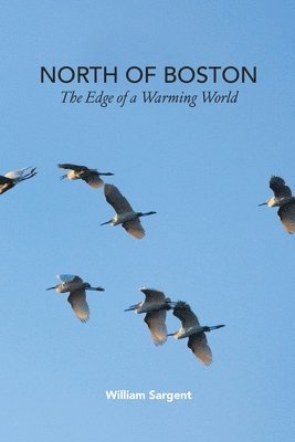 North of Boston- Whales and Tales 1