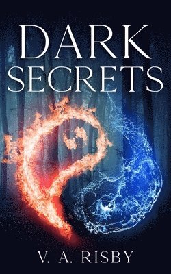 bokomslag Dark Secrets