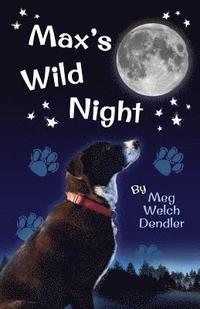 bokomslag Max's Wild Night