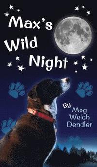 bokomslag Max's Wild Night